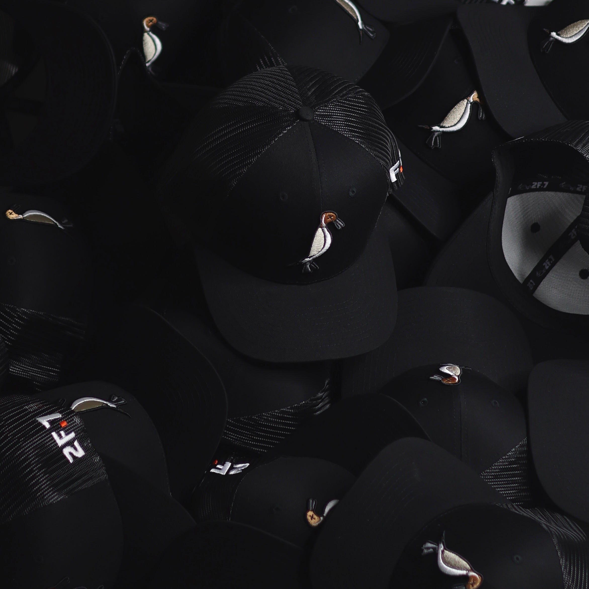 Black Pintail Trucker