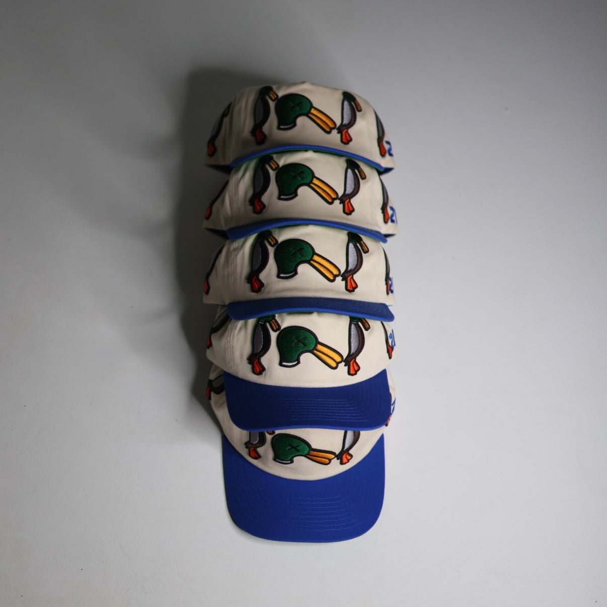 Ugly Duck SnapBack (Half Structured)