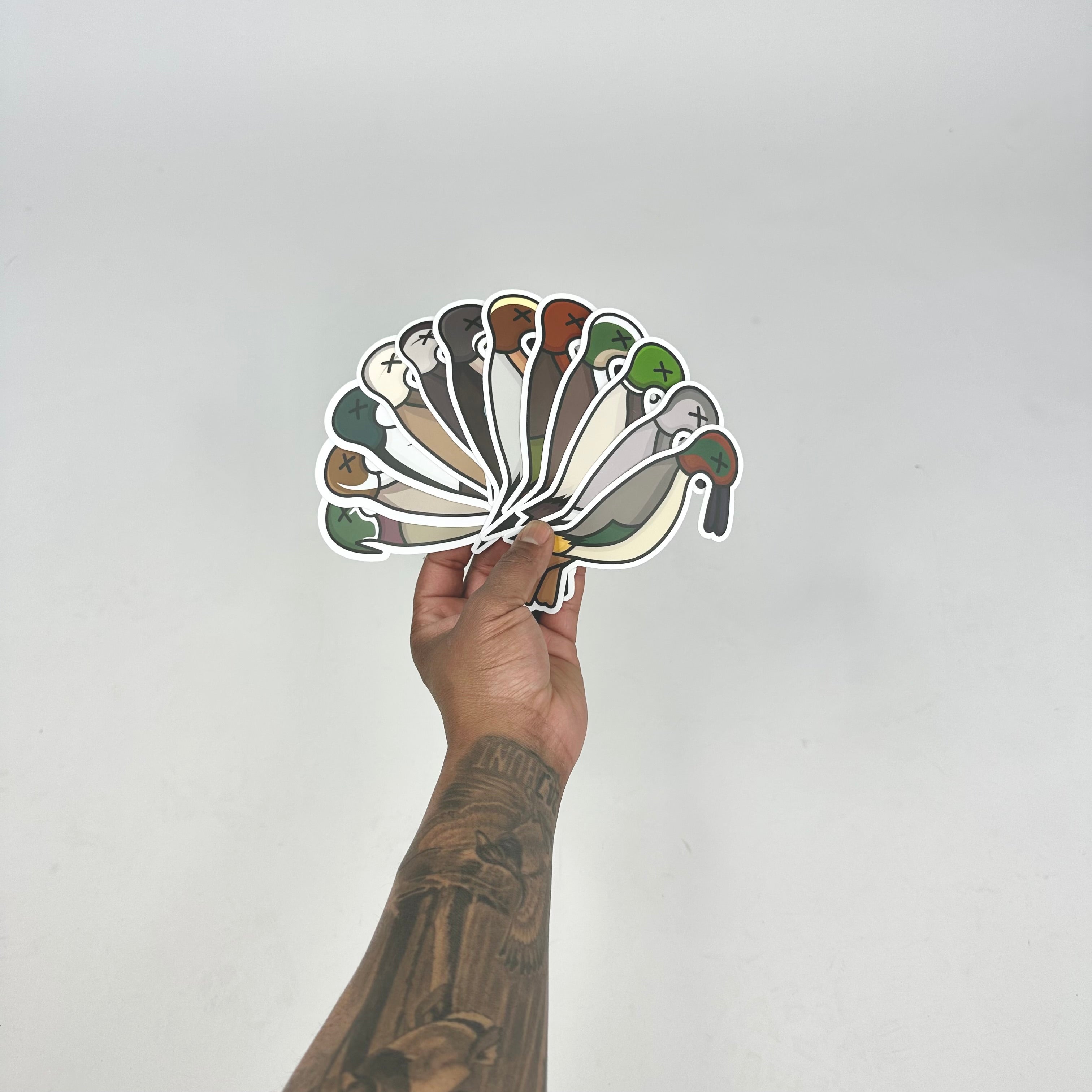 Duck Species Stickers