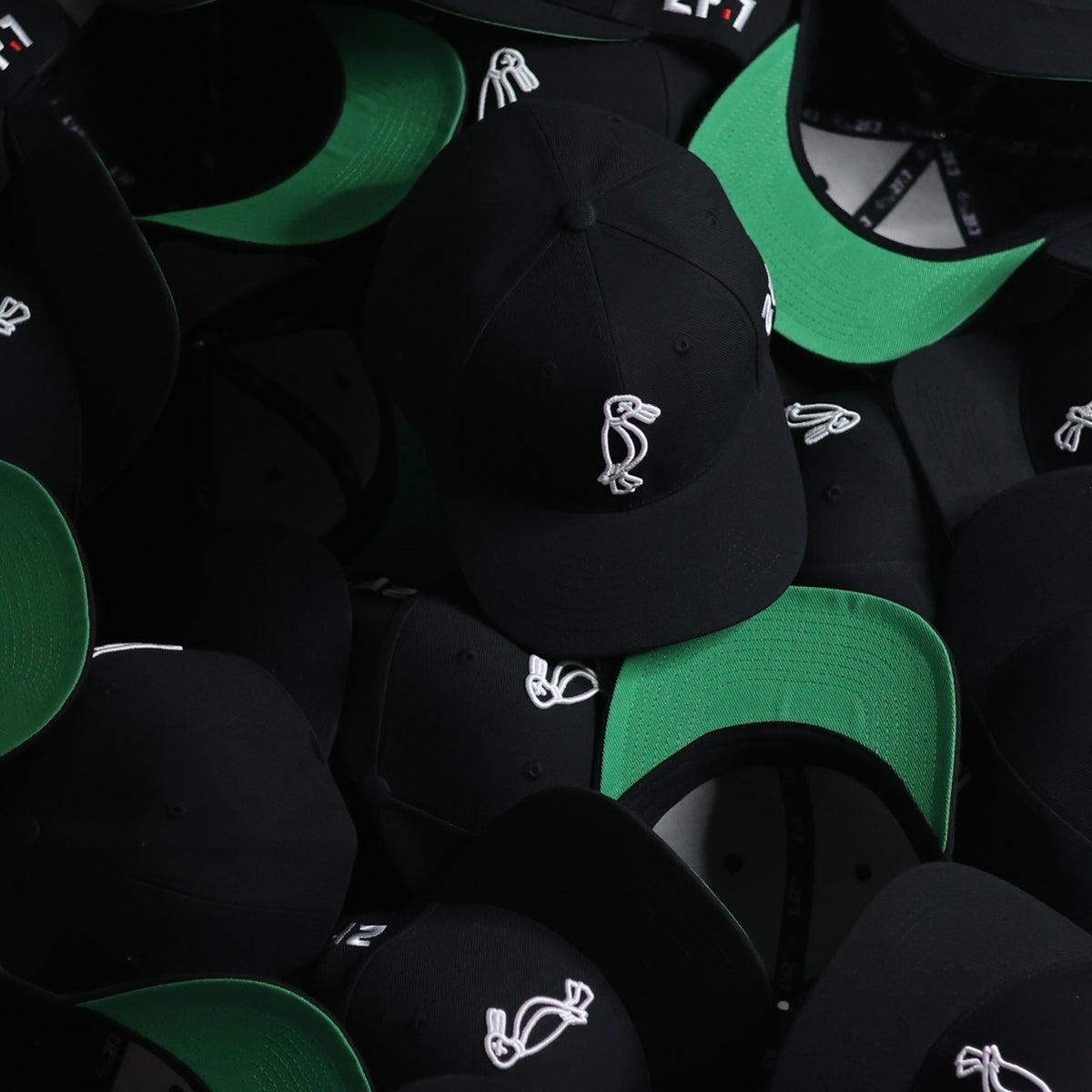 Premium Silhouette SnapBack