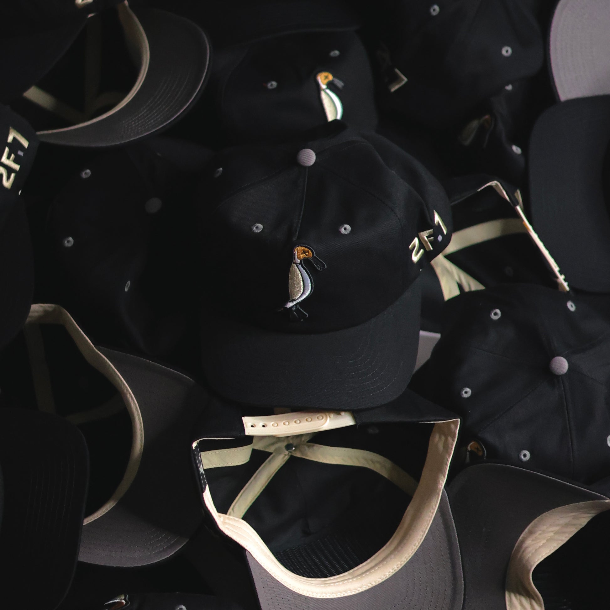 Pintail SnapBack Unstructured Black