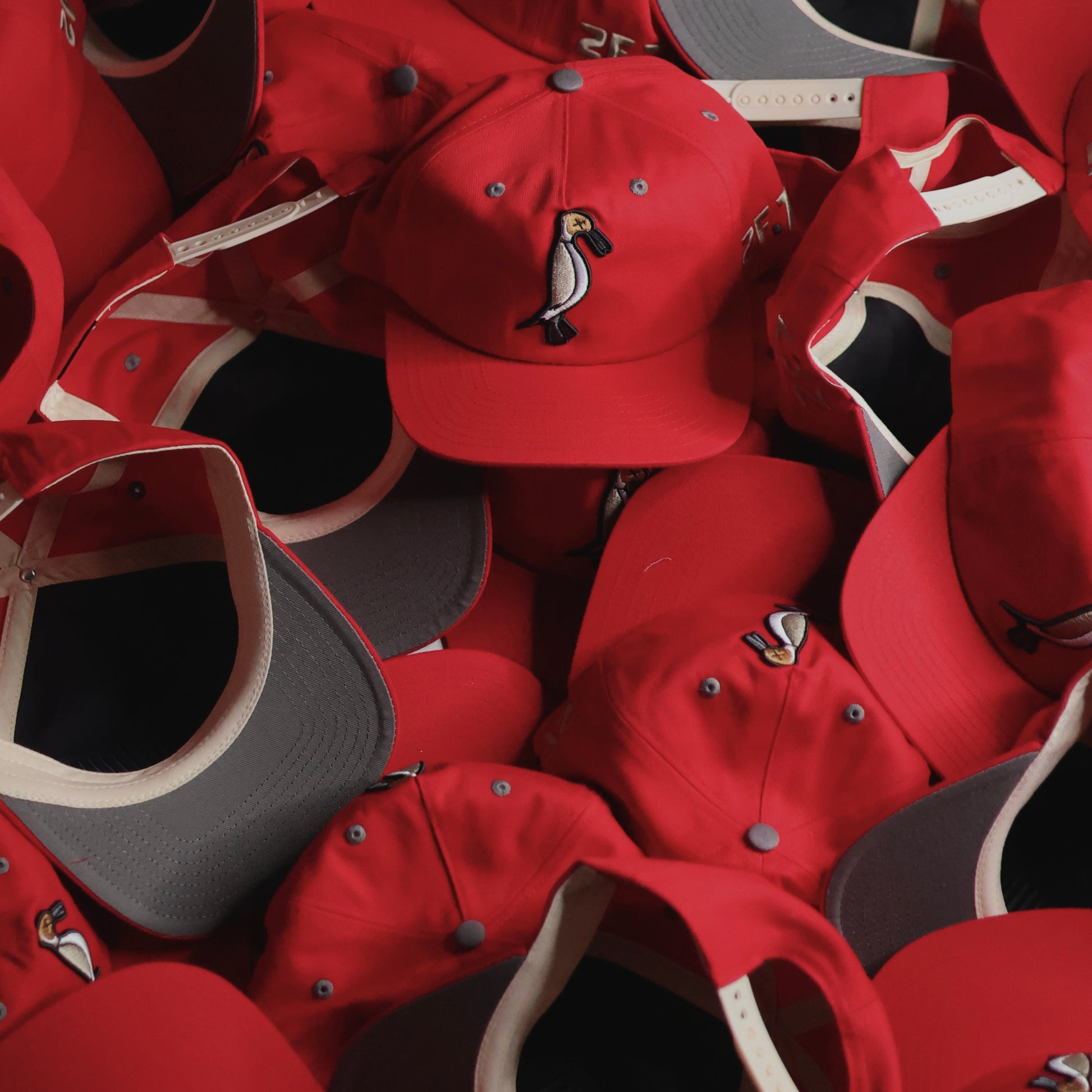 Pintail SnapBack Unstructured Red