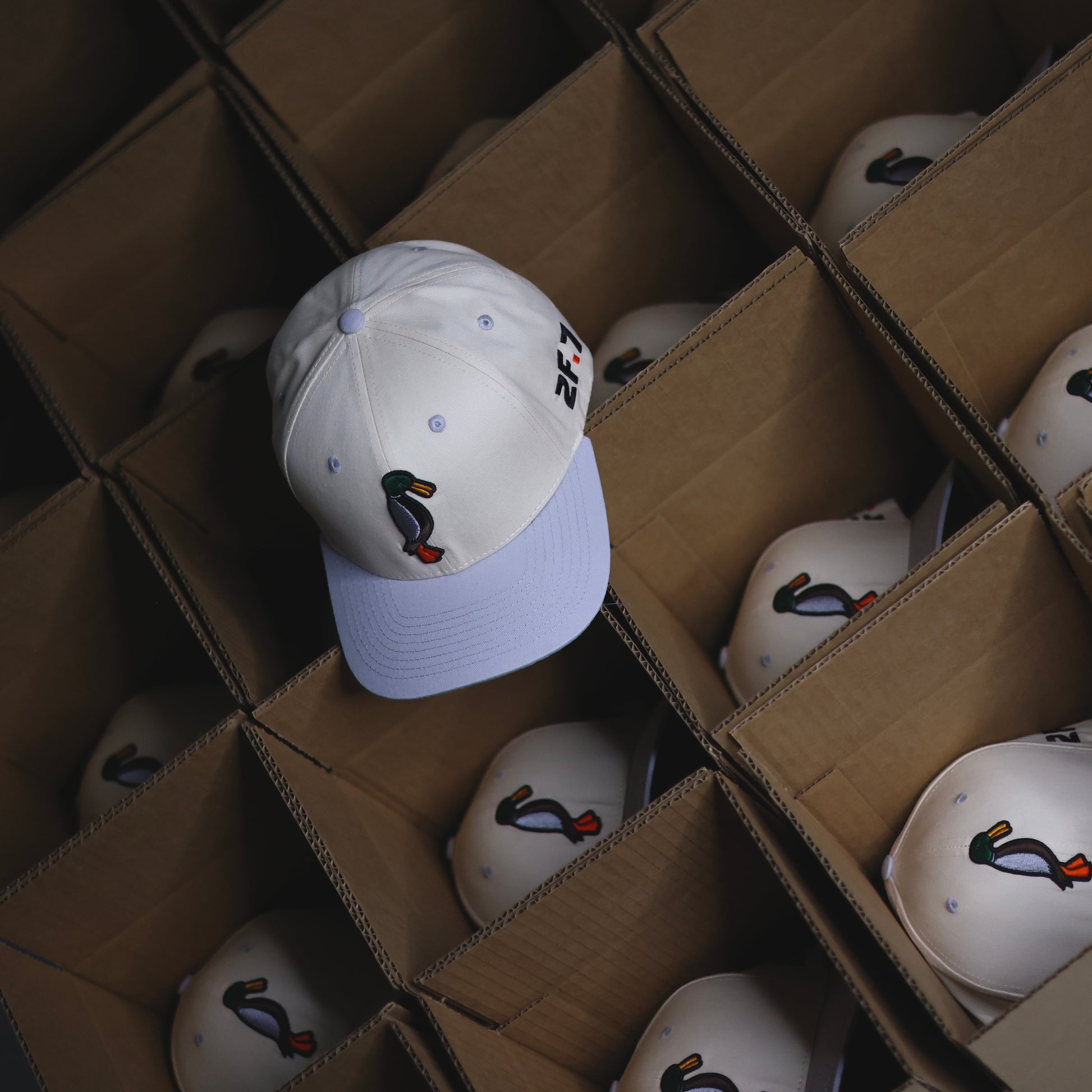 Grey / OffWhite SnapBack
