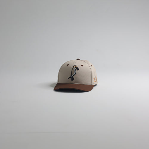 PREORDER Pintail SnapBack