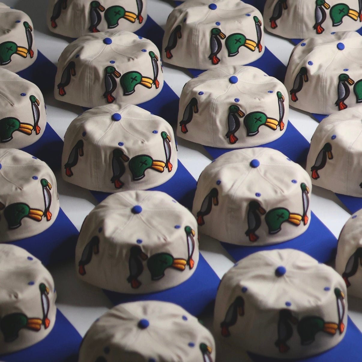 Ugly Duck SnapBack (Half Structured)