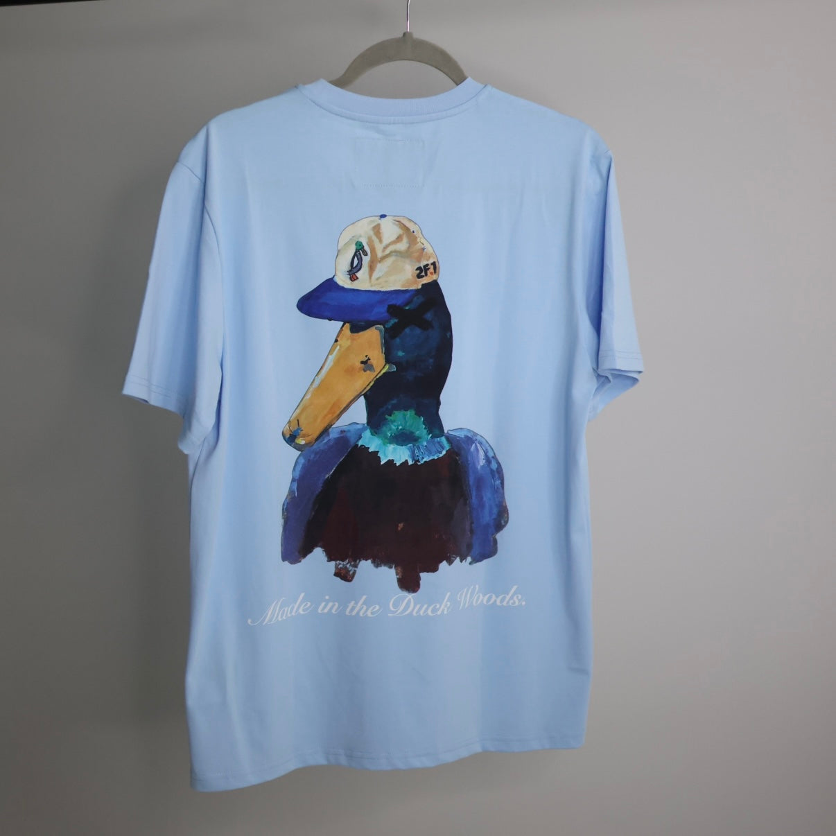 Painted Duck
