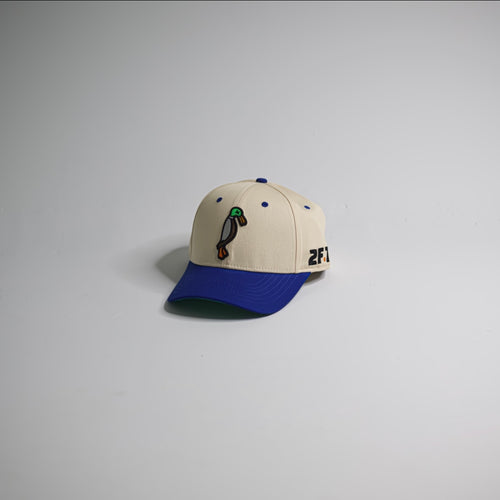 Blue / OffWhite SnapBack