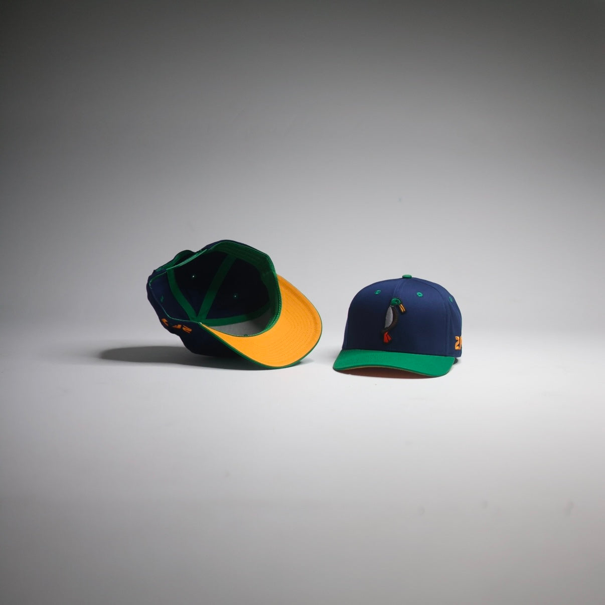 Green / Navy Blue SnapBack