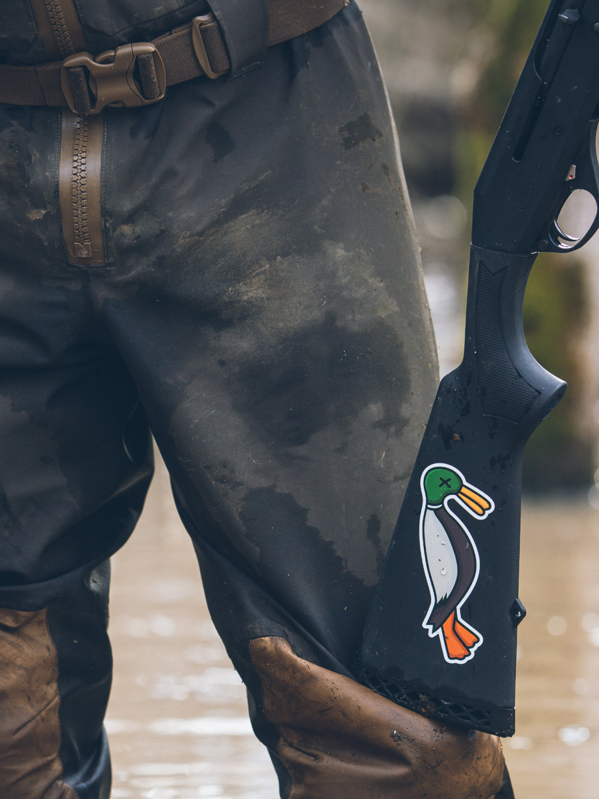 Duck Species Stickers