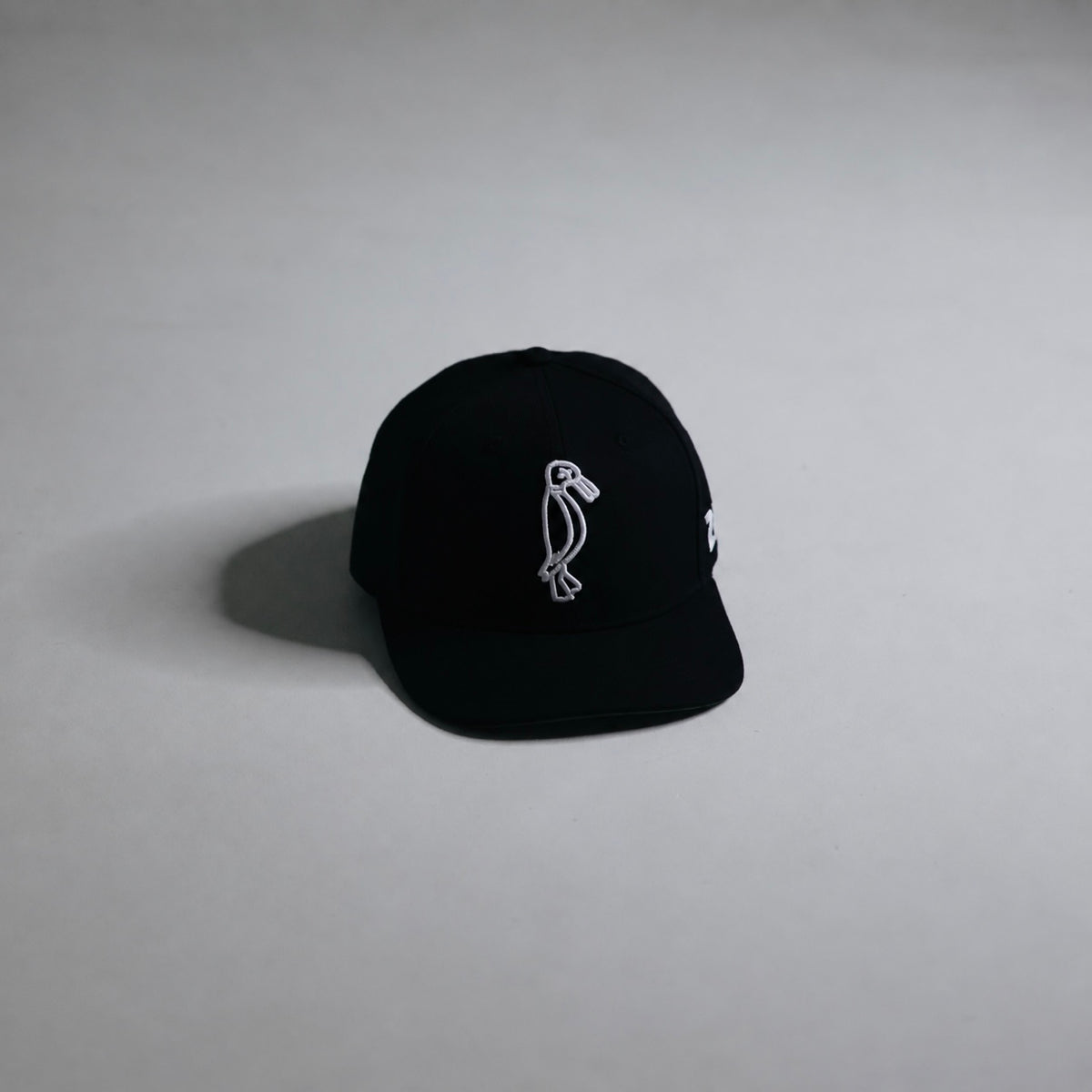 Premium Silhouette SnapBack