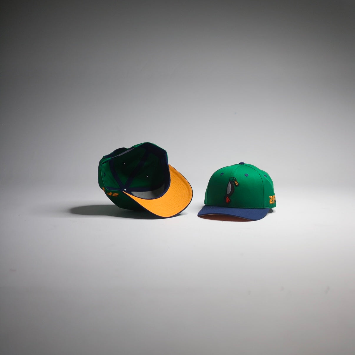 Navy Blue / Green SnapBack