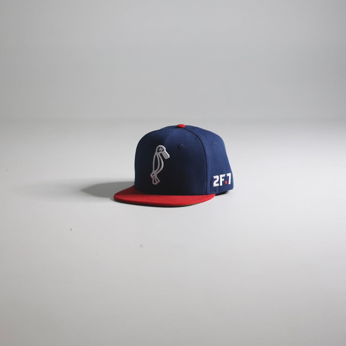Fitted Hat