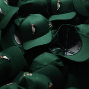 Green Pintail Snapback