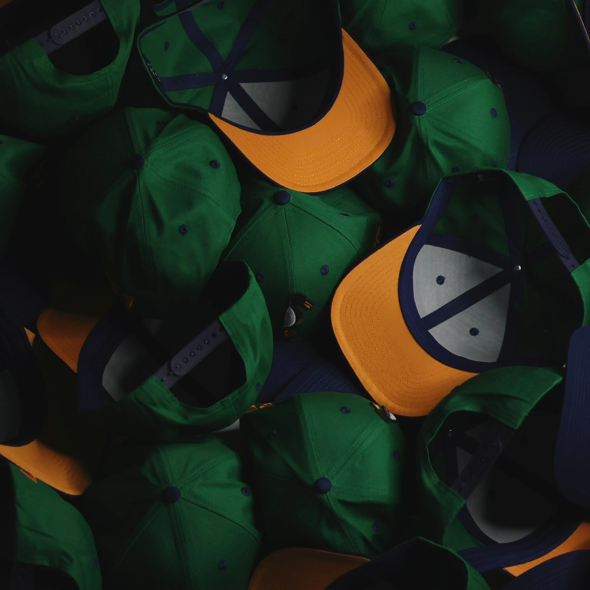 Navy Blue / Green SnapBack