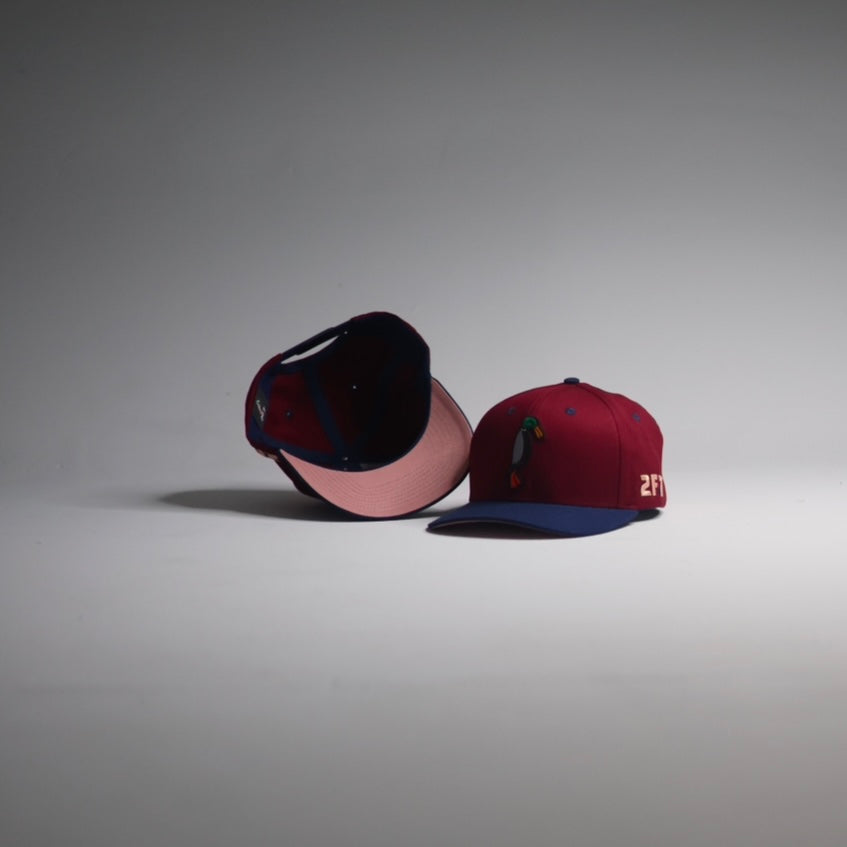 Navy Blue / Burgundy SnapBack