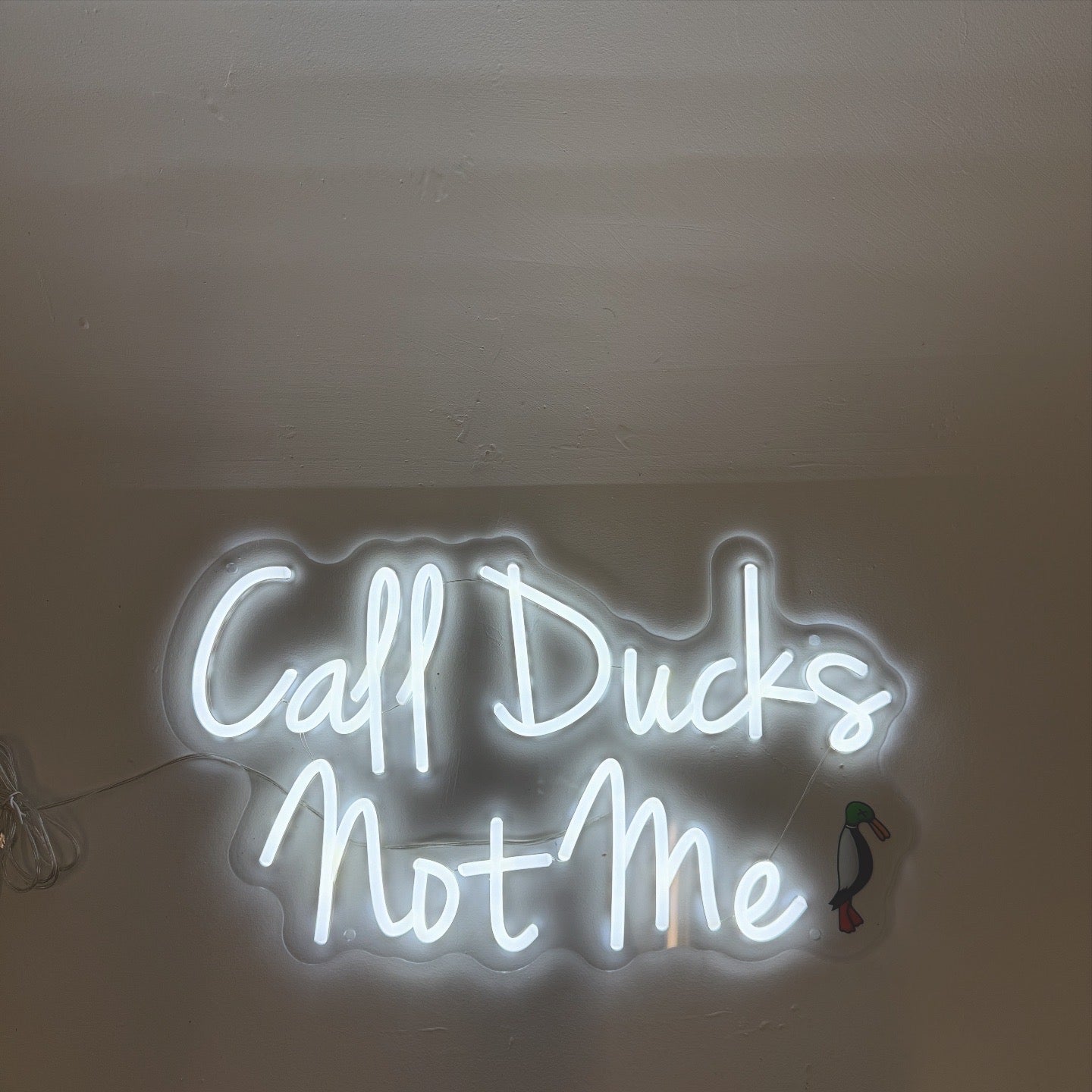 Call Ducks Not Me Neon Sign