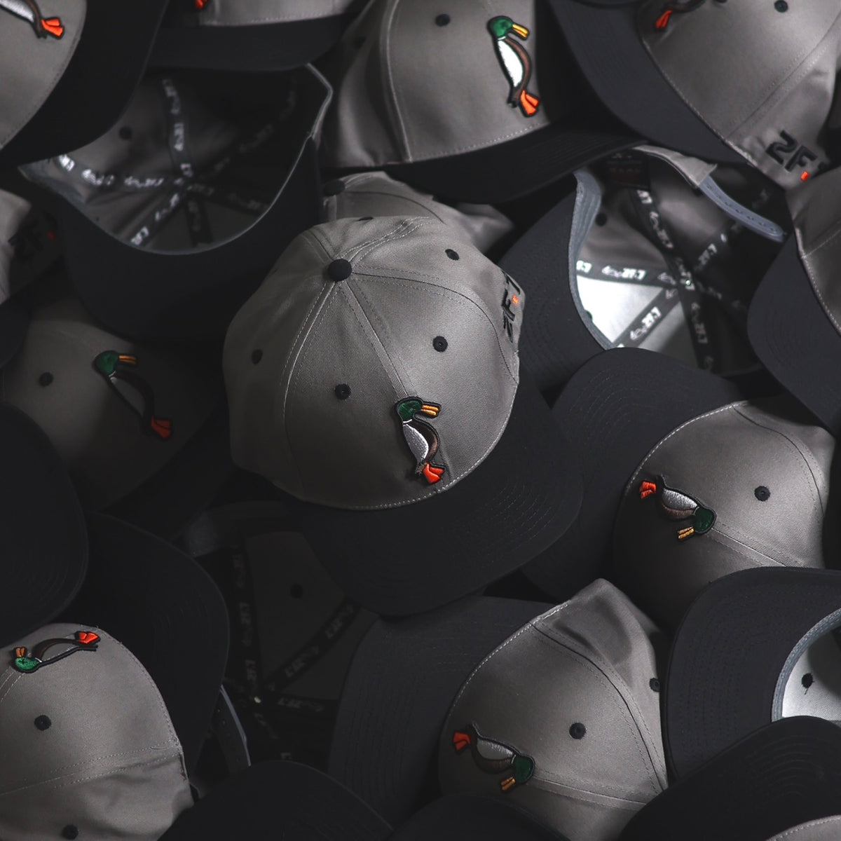 Black / Grey SnapBack