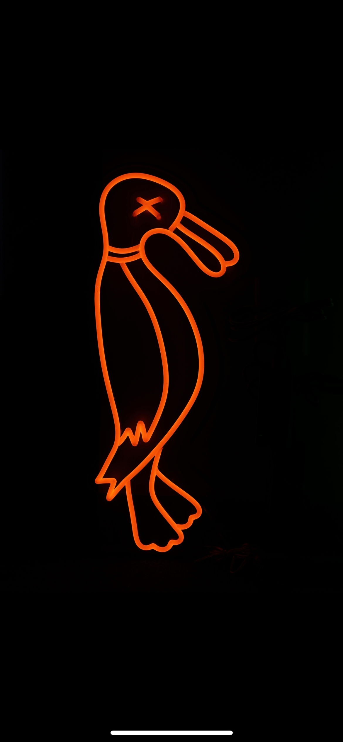 Duck Logo Neon Sign